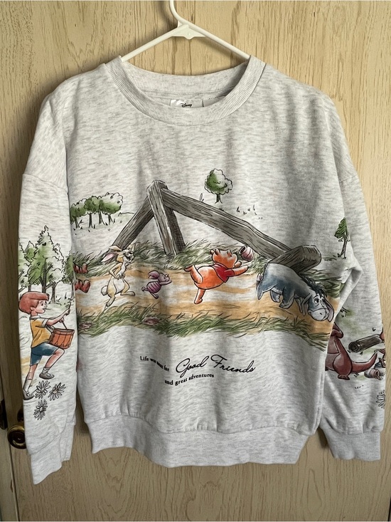 Disney Tops - Disney Winnie the Pooh 100 Acre Wood Gang Sweatshirt Sz Small Friends